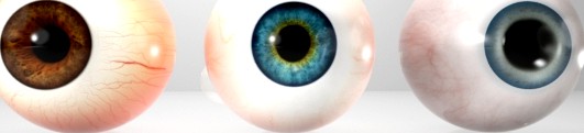3D Realistic Eyes Collection