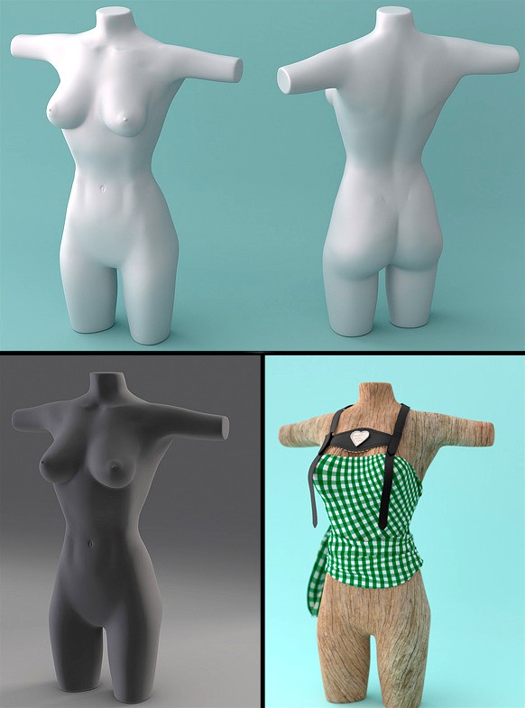 Female Torso