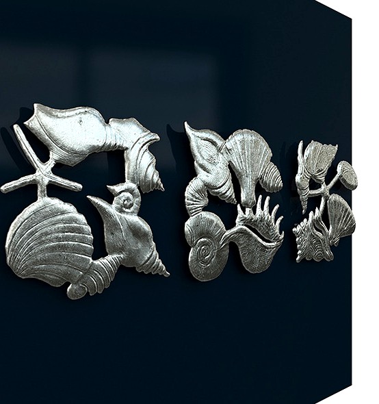 Seashells Triptych Wall Art
