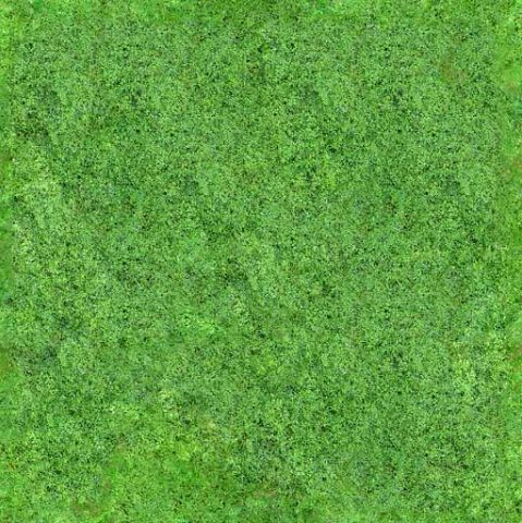 Seamless 2048X2048 Aerial Forest Type A 3D Model