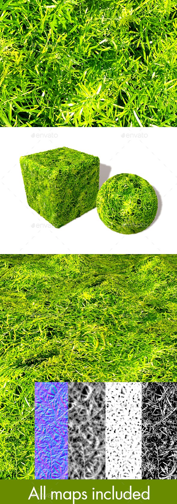 Fern Leaves Seamless Texture