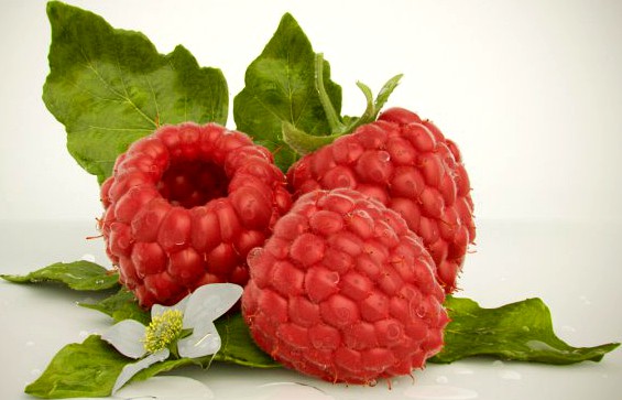 High quality raspberry model 3D Model