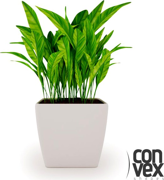 Potted Plant04 3D Model