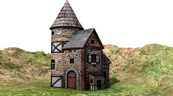 Medieval House