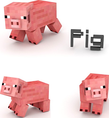 Pig