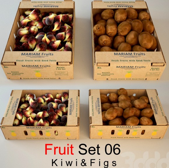 Fruit Set 06