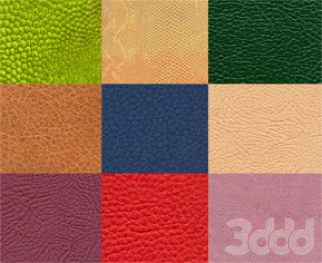 коллекция кожи