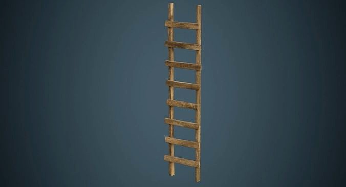 Ladder 2A