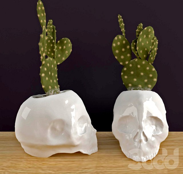 Ceramic Skull Planter