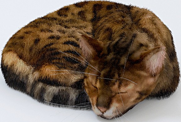 Спящий кот (sleeping cat)