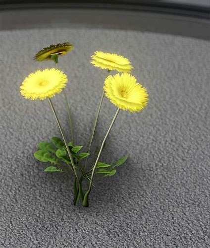 Low-Poly Dandelion Flower Version 5 - Object 11