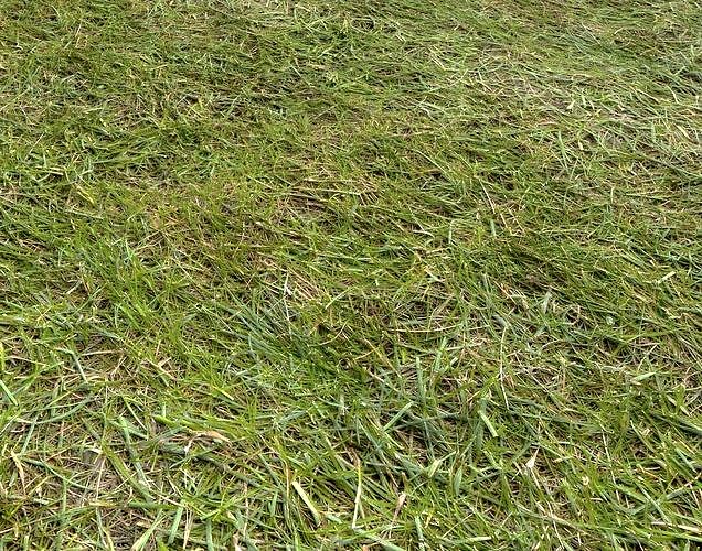 Forest Terrain Pack PBR 1