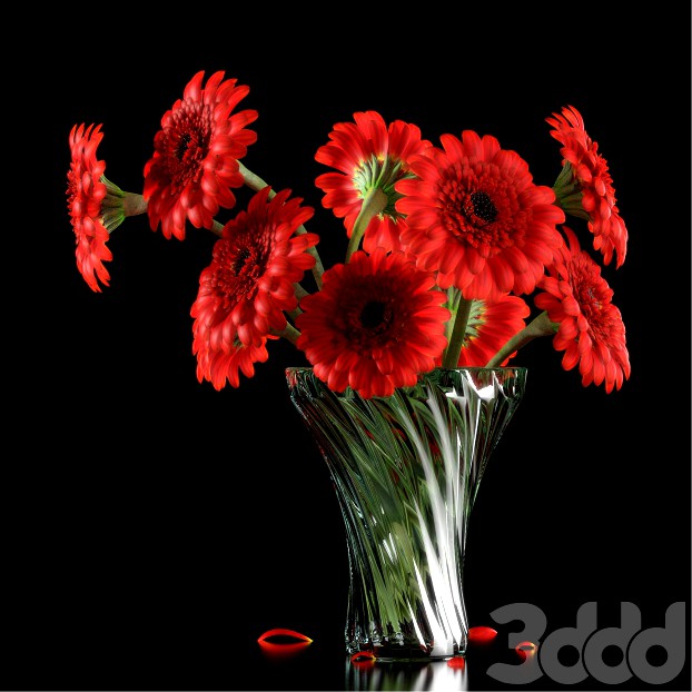 RED GERBERA