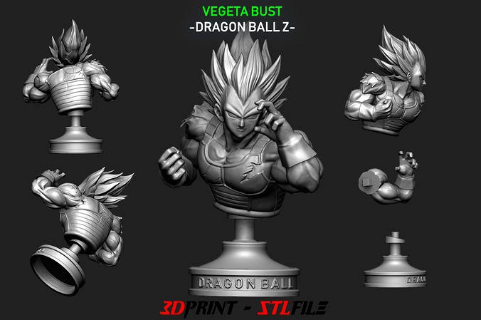 Vegeta Bust - dragonball Z | 3D