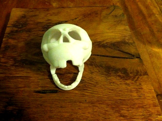 Nexco3D Skull | 3D