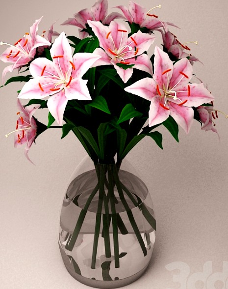 Flower - Lily Pink