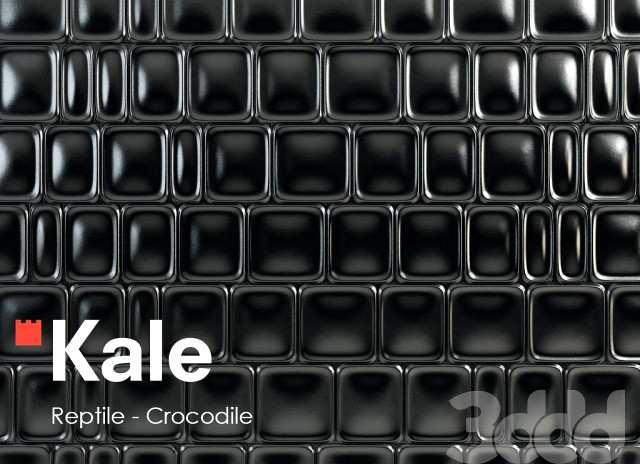 KALE  Reptile - Crocodile