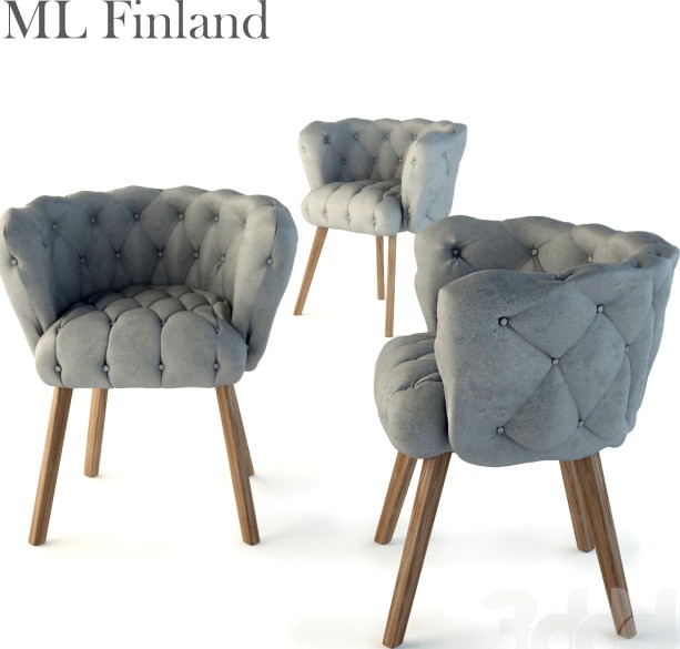 ML Finland Chaire
