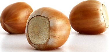 Hazelnut