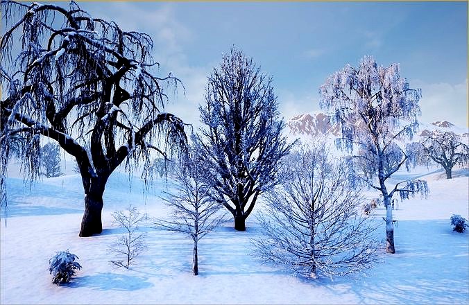 Winter Trees with Snow