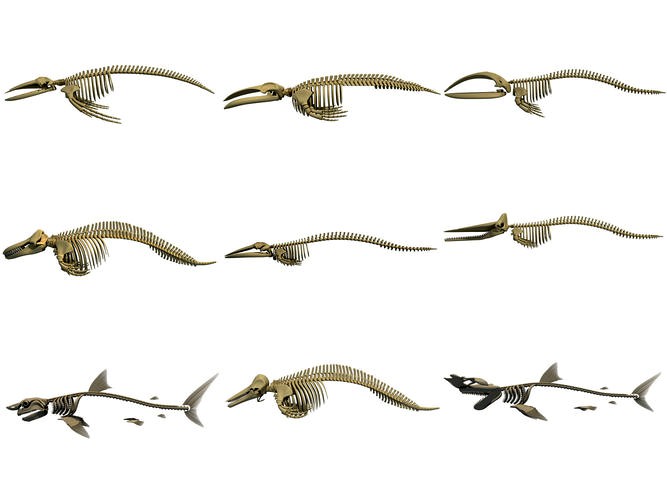 Aquatic Skeletons 3D Models