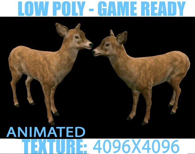 Deer Doe Animated