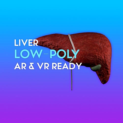3D Liver w Gallbladder
