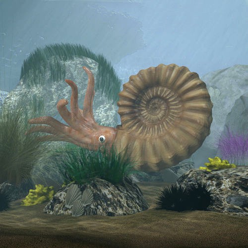 Ammonite with complete underwater scene
