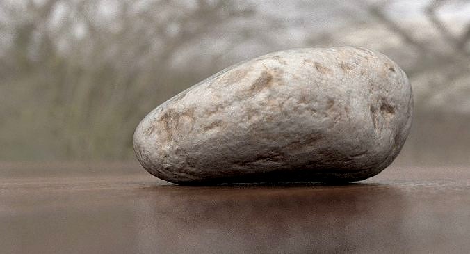 Eroded Limestone Pebble