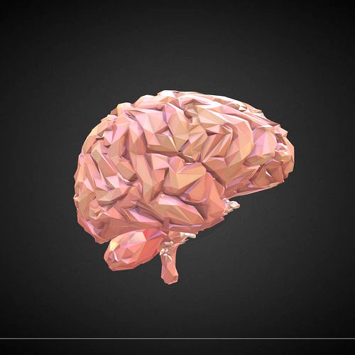 Low Polygon Art Medical Brain Real