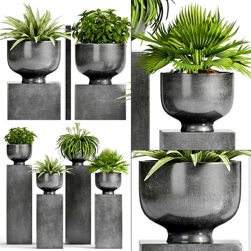 Decorative plant set-48