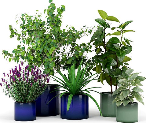 Maya Ceramic Planters