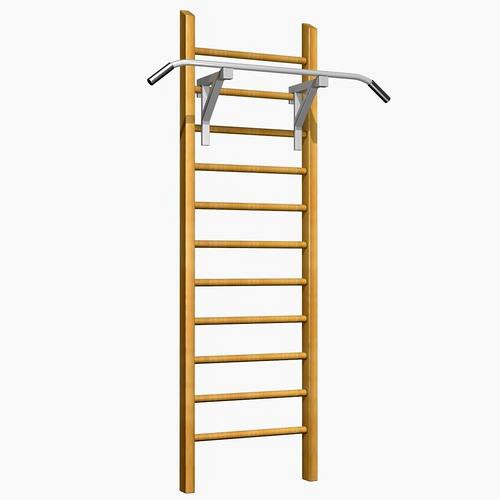 Gymnastic Ladder