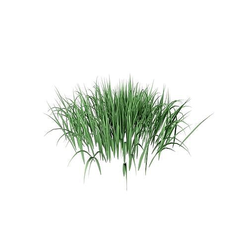 Grass 002