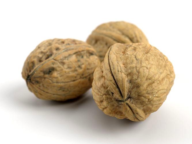 Three Different Photorealistic Walnut 3D Scans