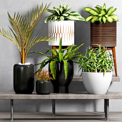 Decorative plant set-44