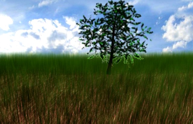 Grass 3D Model