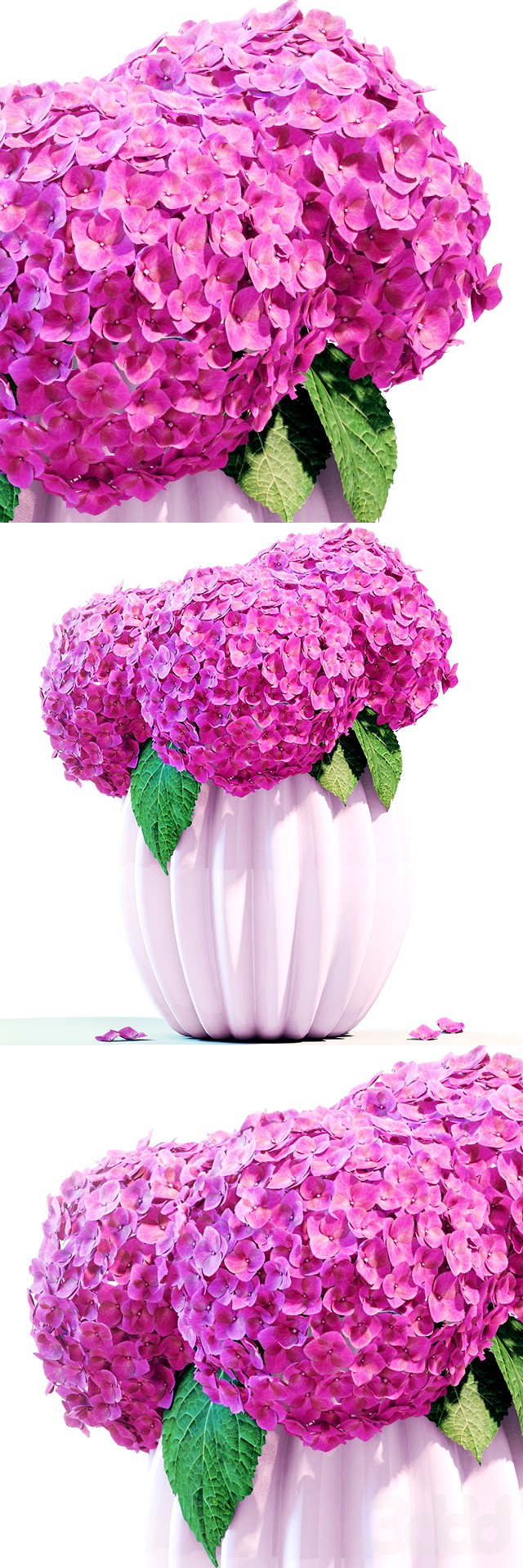 Flower 4