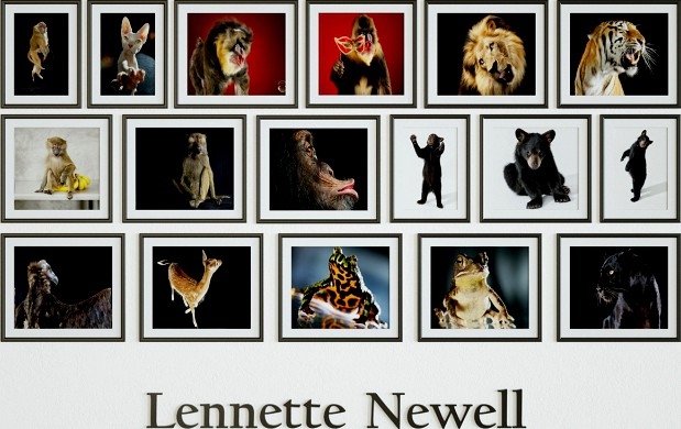 Lennette Newell - Enimals