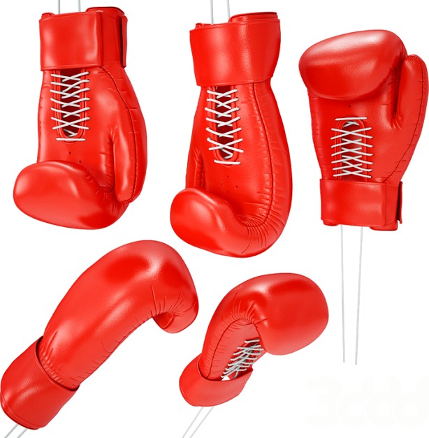 Boxing Gloves