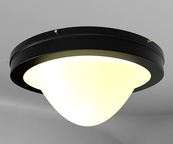 Ceiling lamp for roof