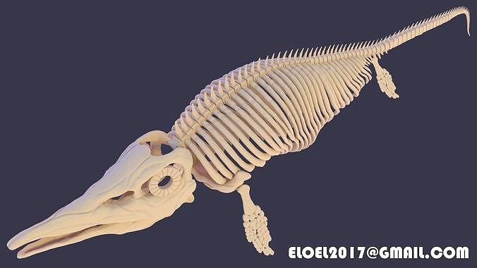 Ichthyosaurus  | 3D