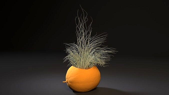 melon planter | 3D