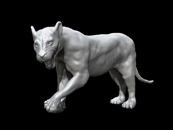 Lioness Modelling | 3D