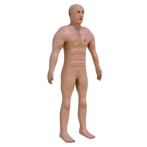 Human