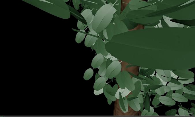 Tree Real Leaf