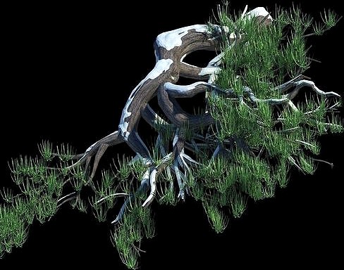 Tree model