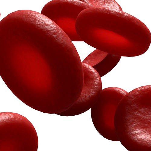 Red Blood Cells