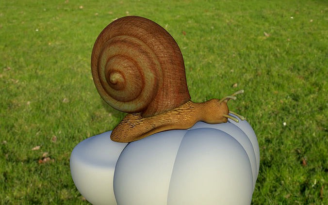 snail 3d model