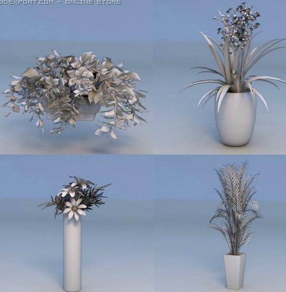 Flowers plant 3D Model